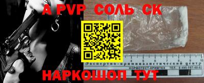 индика Новодвинск