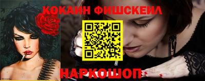 индика Новодвинск