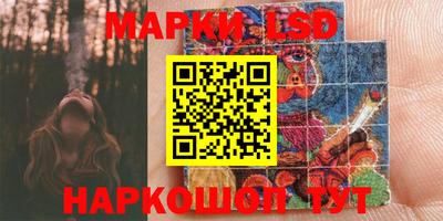 индика Новодвинск