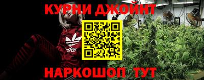 ПСИЛОЦИБИНОВЫЕ ГРИБЫ Новозыбков