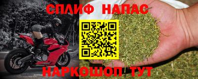 ПСИЛОЦИБИНОВЫЕ ГРИБЫ Новозыбков
