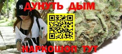 СК Новокубанск