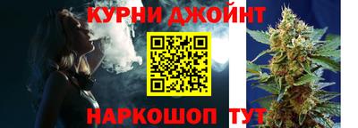 индика Новодвинск