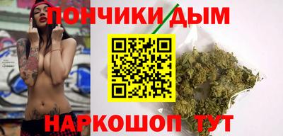 индика Новодвинск