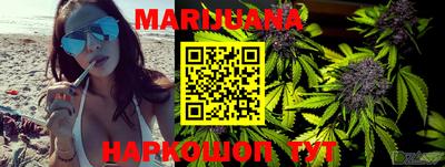 индика Новодвинск