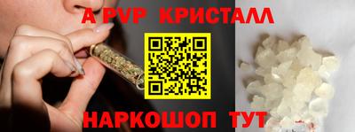 СК Новокубанск