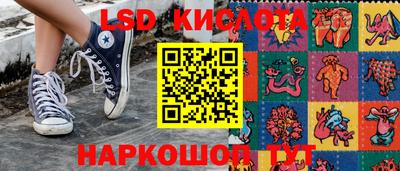 индика Новодвинск