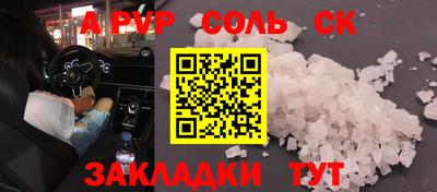 индика Новодвинск